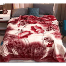 Manta Casal de Microfibra Macia de Inverno